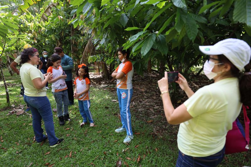 Crianças em Tratamento contra o Câncer visitam Fabrica de Chocolate no Combu - Fotos Bruno Cecim - Ag.Pará <div class='credito_fotos'>Foto: Bruno Cecim / Ag.Pará | <a href='/midias/2022/originais/15134_e9991eb5-22ec-a6b9-9e89-cec99156253b.jpg' download><i class='fa-solid fa-download'></i> Download</a></div>