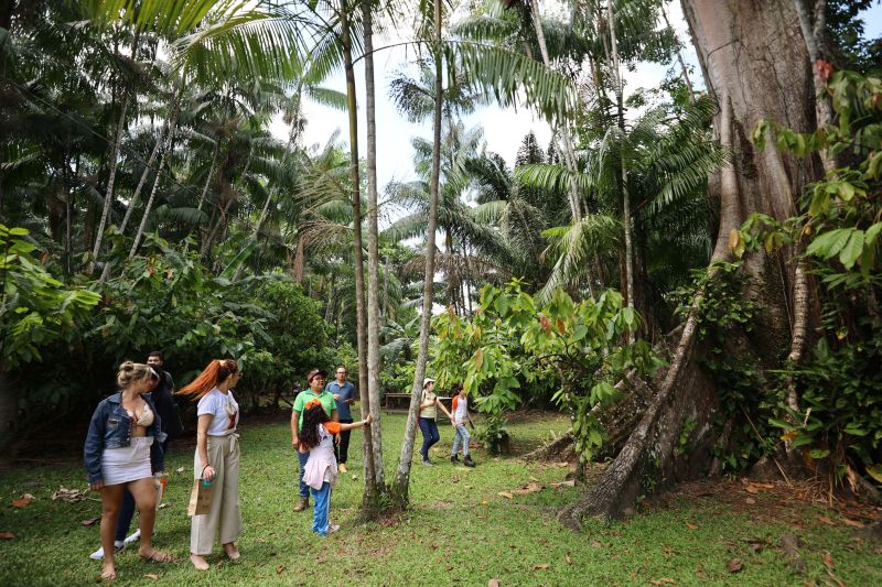 Crianças em Tratamento contra o Câncer visitam Fabrica de Chocolate no Combu - Fotos Bruno Cecim - Ag.Pará <div class='credito_fotos'>Foto: Bruno Cecim / Ag.Pará | <a href='/midias/2022/originais/15134_eed53524-83b5-f82a-0580-c74d06c57dfb.jpg' download><i class='fa-solid fa-download'></i> Download</a></div>