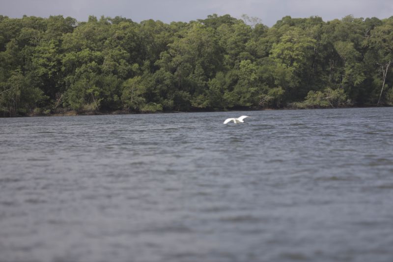 <div class='credito_fotos'>Foto: Pedro Guerreiro / Ag. Pará | <a href='/midias/2022/originais/15148_d9827961-c534-0e3b-c301-8cd6792a9b0c.jpg' download><i class='fa-solid fa-download'></i> Download</a></div>