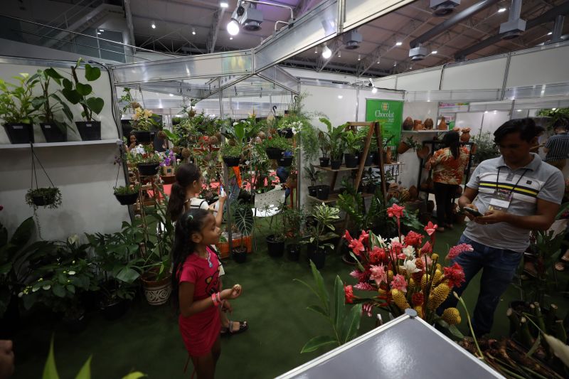<div class='credito_fotos'>Foto: Rodrigo Pinheiro / Ag.Pará | <a href='/midias/2022/originais/15150_8d9147d7-771f-59e8-64d1-c0adfa551c9b.jpg' download><i class='fa-solid fa-download'></i> Download</a></div>