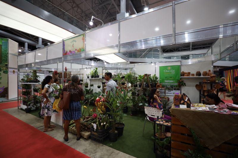 <div class='credito_fotos'>Foto: Rodrigo Pinheiro / Ag.Pará | <a href='/midias/2022/originais/15150_cda1cd0b-abdb-7692-d80f-04f0b5c1826b.jpg' download><i class='fa-solid fa-download'></i> Download</a></div>