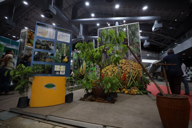 <div class='credito_fotos'>Foto: Rodrigo Pinheiro / Ag.Pará | <a href='/midias/2022/originais/15150_df0f41f9-b72e-2bc3-80c3-9cafca215dd5.jpg' download><i class='fa-solid fa-download'></i> Download</a></div>