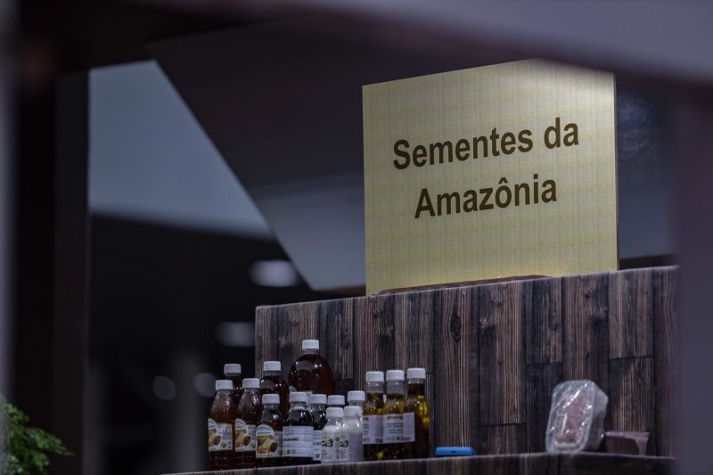 <div class='credito_fotos'>Foto: Bruno Cecim / Ag.Pará | <a href='/midias/2022/originais/15161_fd25b21d-7818-8efc-98fd-5a7e88371330.jpg' download><i class='fa-solid fa-download'></i> Download</a></div>