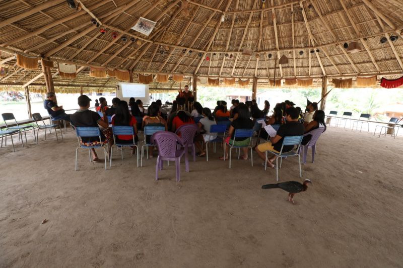 <div class='credito_fotos'>Foto: David Alves / Ag Pará | <a href='/midias/2022/originais/15171_3a0c9faf-f0d3-4bb1-c862-1096068567f3.jpg' download><i class='fa-solid fa-download'></i> Download</a></div>