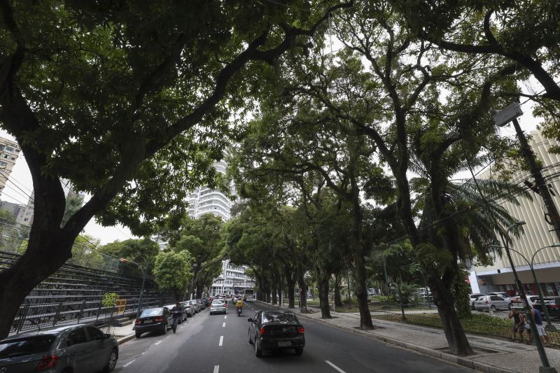<div class='credito_fotos'>Foto: Pedro Guerreiro / Ag. Pará | <a href='/midias/2022/originais/15272_cf26d603-4e9c-8a44-d13d-bbb141c31db0.jpg' download><i class='fa-solid fa-download'></i> Download</a></div>