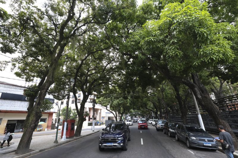 <div class='credito_fotos'>Foto: Pedro Guerreiro / Ag. Pará | <a href='/midias/2022/originais/15272_e147edbc-d662-9272-4637-a7632a3adcb0.jpg' download><i class='fa-solid fa-download'></i> Download</a></div>