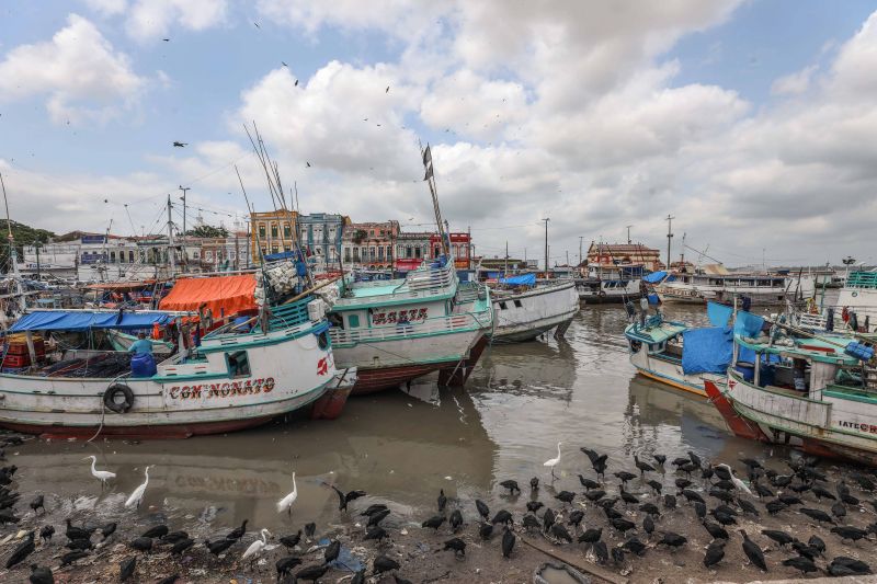 <div class='credito_fotos'>Foto: Pedro Guerreiro / Ag. Pará | <a href='/midias/2022/originais/15273_b3268657-74b8-7687-dc63-5d570cd12582.jpg' download><i class='fa-solid fa-download'></i> Download</a></div>