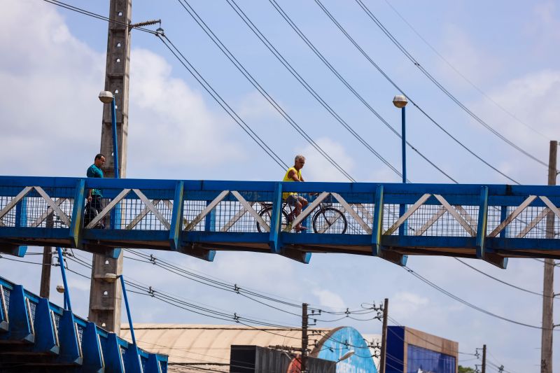  <div class='credito_fotos'>Foto: Marcelo Seabra / Ag. Pará   |   <a href='/midias/2022/originais/15312_08305f71-4f39-eaeb-231c-eaf94fb5cd1c.jpg' download><i class='fa-solid fa-download'></i> Download</a></div>