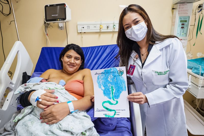  <div class='credito_fotos'>Foto: Alex Ribeiro / Ag. Pará   |   <a href='/midias/2022/originais/15354_da8830aa-d762-d711-30e6-623bca563f6c.jpg' download><i class='fa-solid fa-download'></i> Download</a></div>