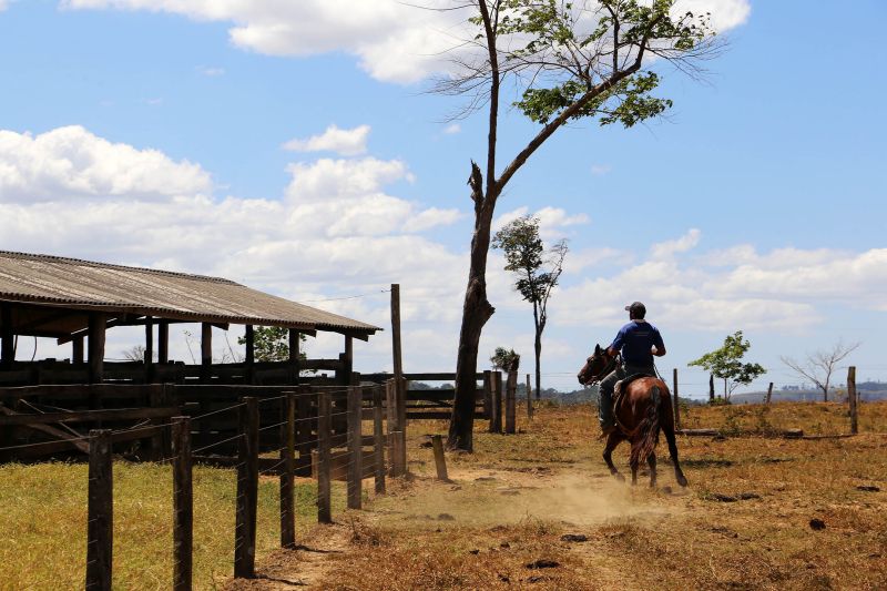 <div class='credito_fotos'>Foto: Pedro Guerreiro / Ag. Pará | <a href='/midias/2022/originais/15381_4d50f270-ef5e-39d5-c280-aa1c0daef10e.jpg' download><i class='fa-solid fa-download'></i> Download</a></div>