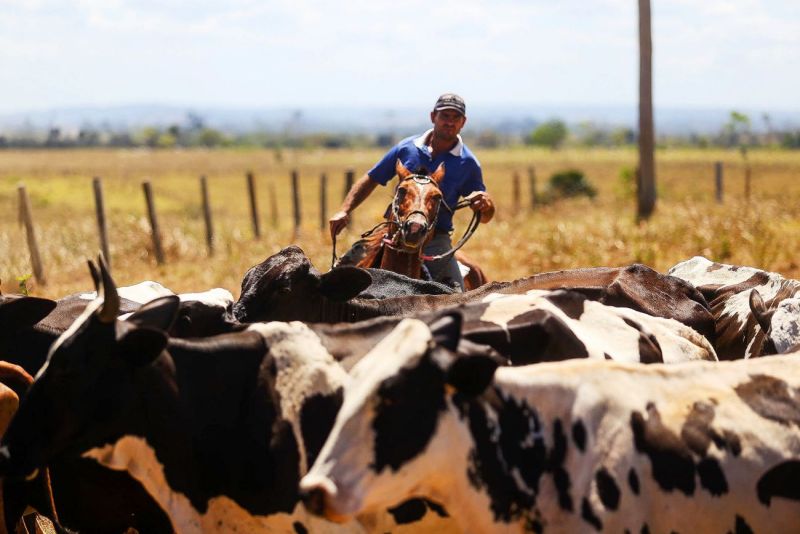 <div class='credito_fotos'>Foto: Pedro Guerreiro / Ag. Pará | <a href='/midias/2022/originais/15381_c93253fa-9481-56ff-5dbe-1744e96b8256.jpg' download><i class='fa-solid fa-download'></i> Download</a></div>