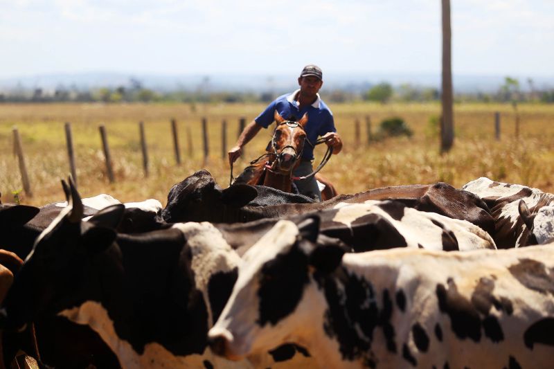 <div class='credito_fotos'>Foto: Pedro Guerreiro / Ag. Pará | <a href='/midias/2022/originais/15381_f77fa70b-070e-e33b-b4b0-239bc78dd14d.jpg' download><i class='fa-solid fa-download'></i> Download</a></div>