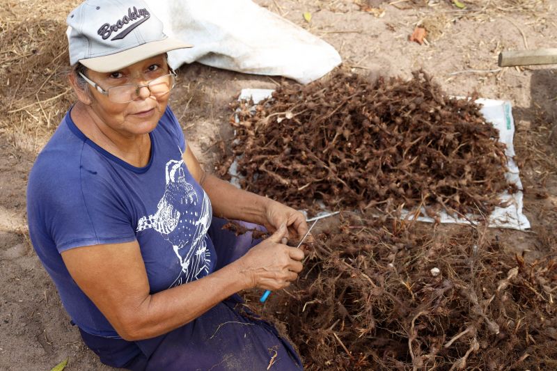  <div class='credito_fotos'>Foto: Bruno Cecim / Ag.Pará   |   <a href='/midias/2022/originais/15433_0c86a194-cc7f-ba8c-bc9b-c1db94d70420.jpg' download><i class='fa-solid fa-download'></i> Download</a></div>