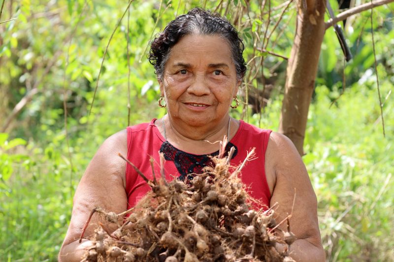 Maria do Rosário, agricultora <div class='credito_fotos'>Foto: Bruno Cecim / Ag.Pará   |   <a href='/midias/2022/originais/15433_1d7eb381-df91-8168-25d9-06e6a7e2d79f.jpg' download><i class='fa-solid fa-download'></i> Download</a></div>