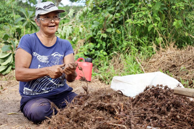 Maria Lúcia Siqueira, agricultora