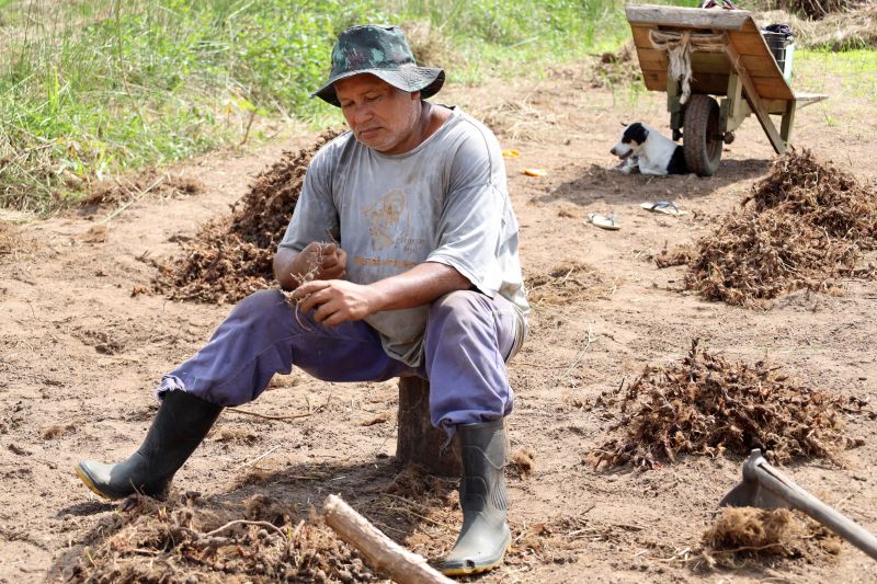  <div class='credito_fotos'>Foto: Bruno Cecim / Ag.Pará   |   <a href='/midias/2022/originais/15433_741eca88-95f0-ab2e-fc07-b9780b954f6b.jpg' download><i class='fa-solid fa-download'></i> Download</a></div>