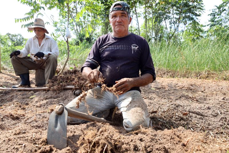  <div class='credito_fotos'>Foto: Bruno Cecim / Ag.Pará   |   <a href='/midias/2022/originais/15433_76b68661-ea46-c3b2-2399-8772093c29fe.jpg' download><i class='fa-solid fa-download'></i> Download</a></div>