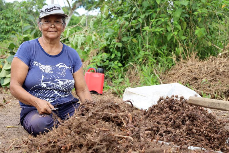 Maria Lúcia Siqueira, agricultora <div class='credito_fotos'>Foto: Bruno Cecim / Ag.Pará   |   <a href='/midias/2022/originais/15433_82f42858-7fac-f99e-9a1a-03837fa4b129.jpg' download><i class='fa-solid fa-download'></i> Download</a></div>