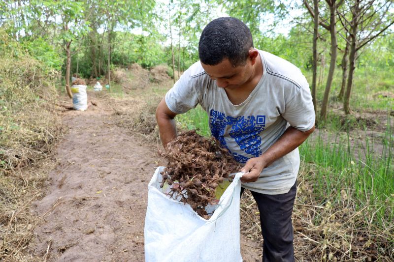  <div class='credito_fotos'>Foto: Bruno Cecim / Ag.Pará   |   <a href='/midias/2022/originais/15433_88fe6b9f-6a8c-54fc-8509-c37ac38bfdb1.jpg' download><i class='fa-solid fa-download'></i> Download</a></div>