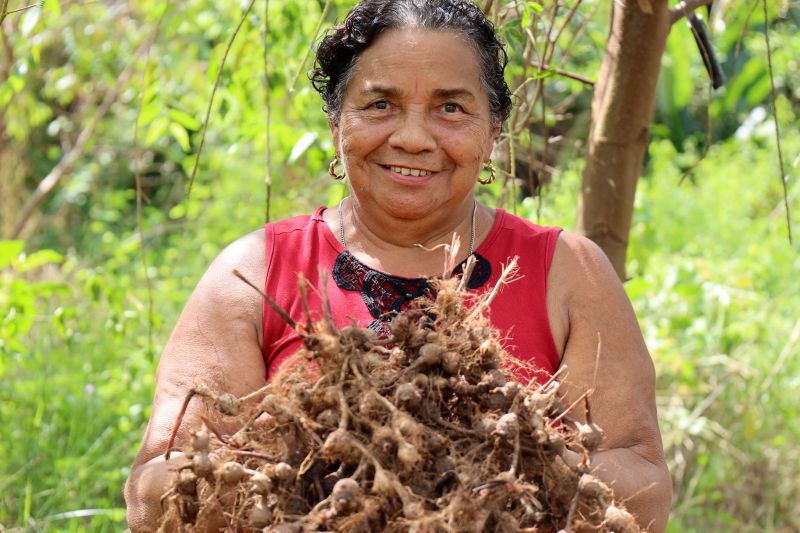 Maria do Rosário, agricultora <div class='credito_fotos'>Foto: Bruno Cecim / Ag.Pará   |   <a href='/midias/2022/originais/15433_c9b5989d-e6e6-89a2-78aa-38377877648b.jpg' download><i class='fa-solid fa-download'></i> Download</a></div>