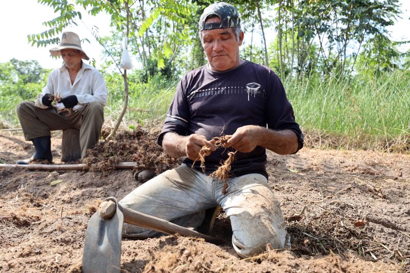  <div class='credito_fotos'>Foto: Bruno Cecim / Ag.Pará   |   <a href='/midias/2022/originais/15433_ddbceacf-bde6-ce0f-d9e1-51b1ae402554.jpg' download><i class='fa-solid fa-download'></i> Download</a></div>