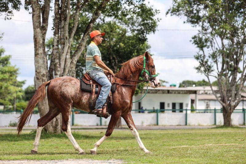 <div class='credito_fotos'>Foto: Bruno Cecim / Ag.Pará | <a href='/midias/2022/originais/15549_47761615-feb2-52ba-e5e2-e7e4424f5545.jpg' download><i class='fa-solid fa-download'></i> Download</a></div>