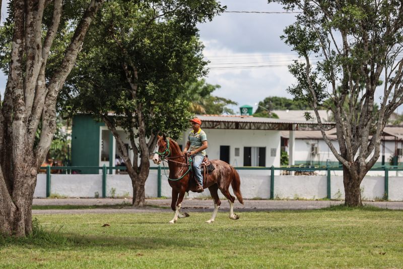 <div class='credito_fotos'>Foto: Bruno Cecim / Ag.Pará | <a href='/midias/2022/originais/15549_bd590159-1fe4-f629-2081-19fa3b639b11.jpg' download><i class='fa-solid fa-download'></i> Download</a></div>