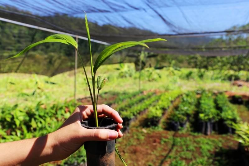 O edital vai contemplar principalmente agricultores familiares