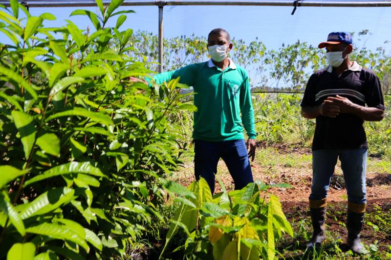 Assistência técnica aos produtores é um dos benefícios da Política de Atuação Integrada de Territórios Sustentáveis
