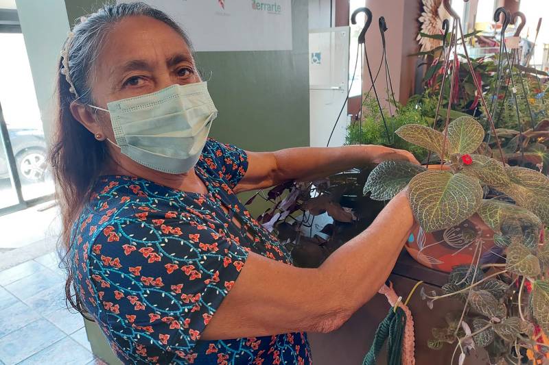 Natalina Machado, agricultura familiar de Santa Bárbara 