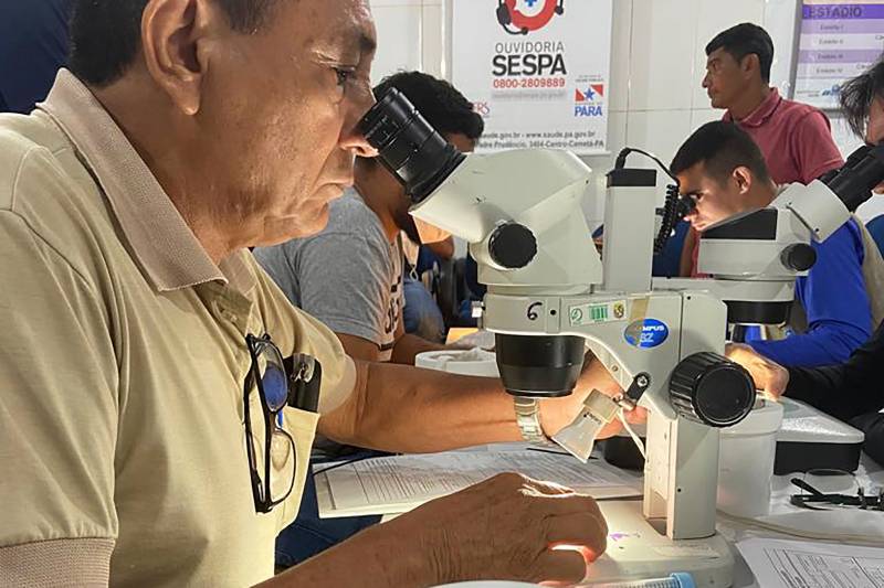 Depois de capturas as amostras de insetos passam por análises microscópicas