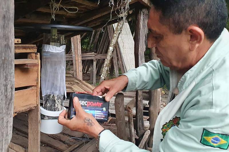 Técnicos usam armadilhas para a captura de insetos