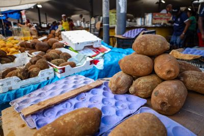 notícia: Aplicativo "Ver-a-Feira" fortalece a venda on-line de produtos em mercados de Belém