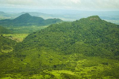 notícia: Acordo de Cooperação entre Semas e Organização Comunitas fortalece o licenciamento ambiental