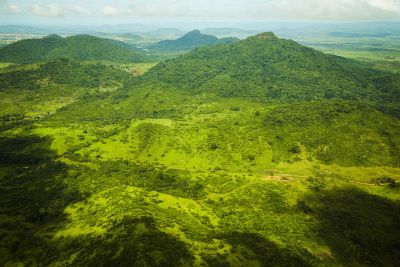notícia: Força Estadual de Combate ao Desmatamento já embargou mais de 9 mil hectares de terra em 2024
