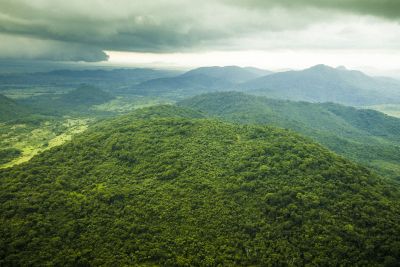 notícia: Em fevereiro, Pará reduz em mais de 70% área recoberta por alerta de desmatamento