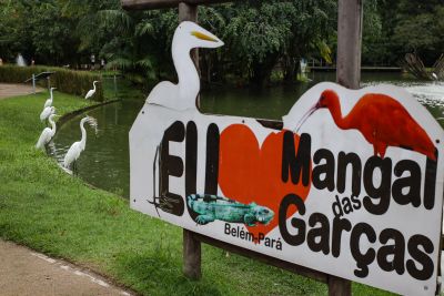 notícia: Mangal das Garças promove oficina infantil junina neste domingo