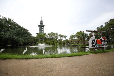 notícia: Mangal das Garças promove educação ambiental com oficina para crianças