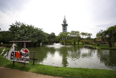notícia: Mangal terá apresentação de papagaio Moleiro e oficina de bolhas de sabão, neste domingo (30)