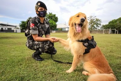 notícia: I Seminário de Mulheres Militares do Pará vai destacar o protagonismo feminino nas corporações