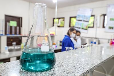 notícia: Governo do Pará vai oferecer mais 295 bolsas de iniciação científica para os 144 municípios