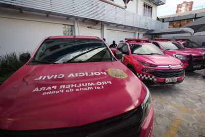 notícia: Programa Pró-Mulher Pará já contabiliza mais de 60 atendimentos a vitimas de violência doméstica