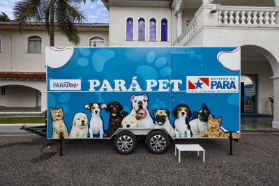 notícia: 'Pará Pet' inicia inscrições para castração de animais nesta quarta