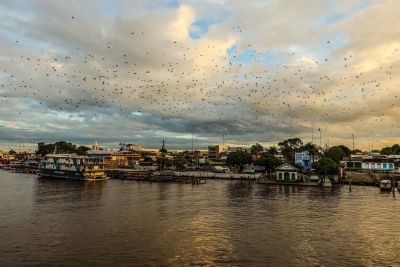 galeria: CIDADE DE BREVES - MARAJO
