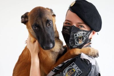 notícia: Lei estadual obriga condomínios a denunciarem maus-tratos a animais no Pará