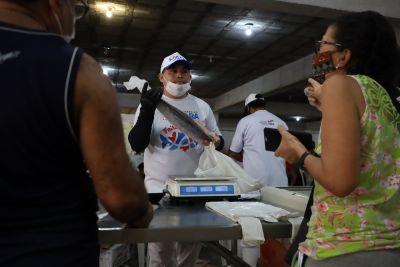 notícia: Feira do Pescado 2023 contará com três novos pontos de venda; confira