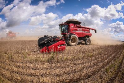 notícia: Prazo para semear soja no Pará é prorrogado pelo Ministério da Agricultura e Pecuária