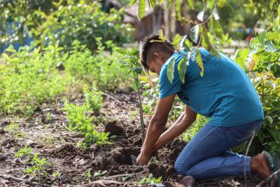 notícia: Em Mojuí dos Campos, Emater ajuda agricultores acessarem crédito e 'Minha Casa'