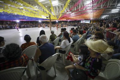 notícia: Margarida Schivasappa tem Pássaros e Bichos Juninos até domingo (3)