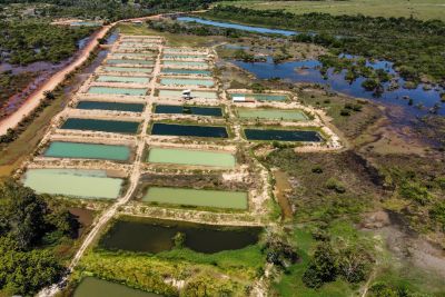 notícia: Produção pesqueira triplica no Pará, aponta Fapespa 